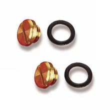 Load image into Gallery viewer, Holley 26-13 Fuel Bowl Sight Plug &amp; Gasket Kit